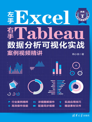 cover image of 左手Excel右手Tableau数据分析可视化实战案例视频精讲